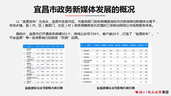 宜昌互联网发展报告 政务新媒体的转型之路与维护服务策略